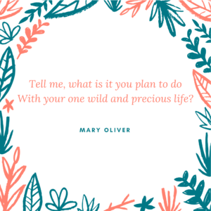 Mary Oliver quote 